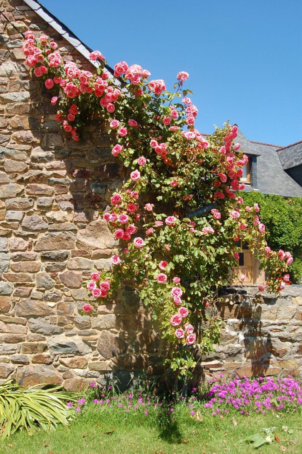 Vila Les Longeres Du Trieux Lézardrieux Exteriér fotografie